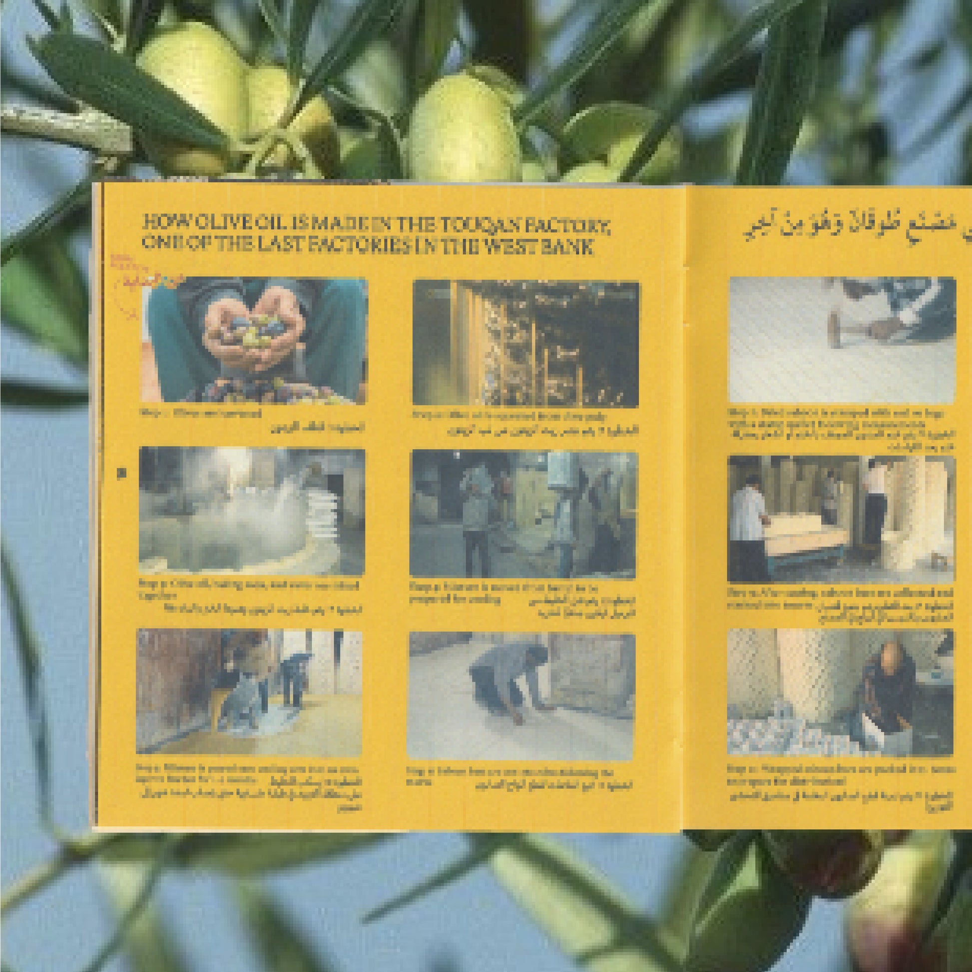 Saboon Crate Booklet